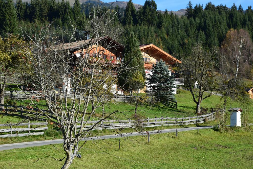 Apartment Gmiatlich Wohnen Hollersbach im Pinzgau Εξωτερικό φωτογραφία